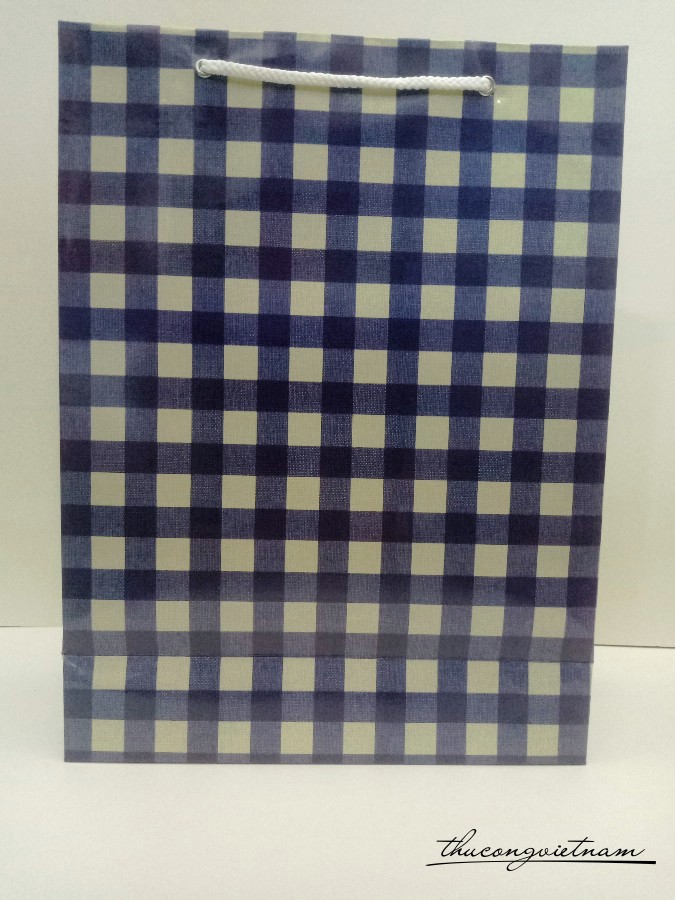 Túi giấy đựng quà L16 30x40x12cm